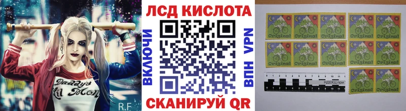 Марки N-bome 1,5мг  маркетплейс какой сайт  Каргополь  цены наркотик 