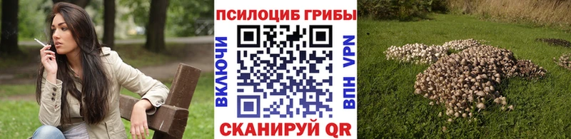 дарнет шоп Каргополь hydra ссылка Галлюциногенные грибы Magic Shrooms