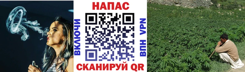 МАРИХУАНА планчик  купить закладку  Каргополь 